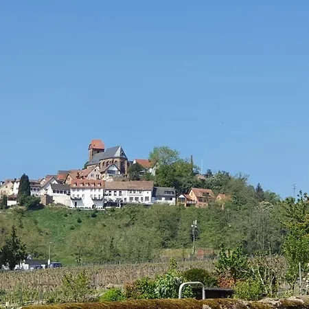 Han/Misafirhane Landgasthaus 