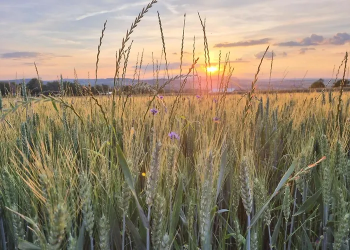 Mini-hôtel Landgasthaus 